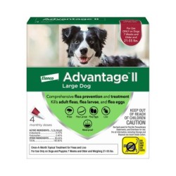 Advantage II Flea Treatment 21-55 lbs 4 ct