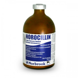 Norocillin Penicillin-G 100ml