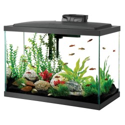 Aqueon LED Aquarium Kit 20 Gallon