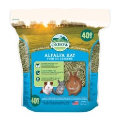 Alfalfa Hay 40 oz